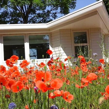 Het Findament Tiny House Villa Hilversum Ngoại thất bức ảnh