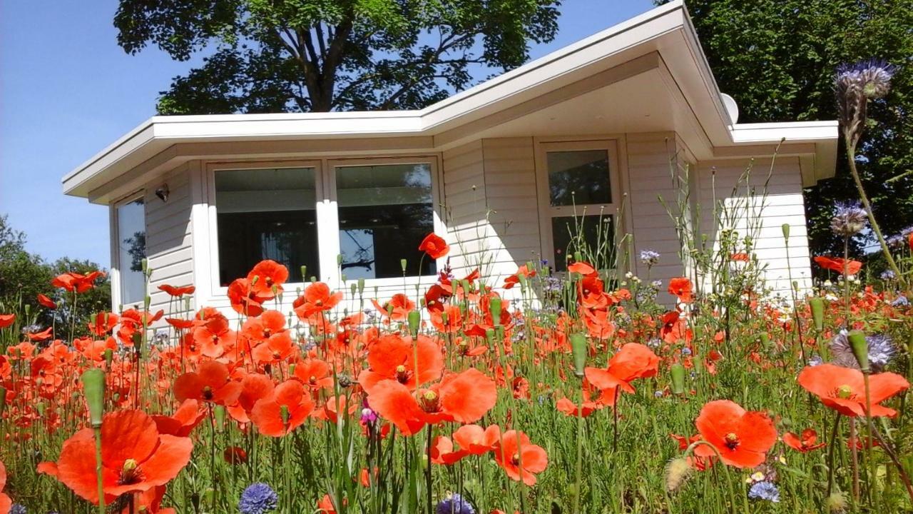Het Findament Tiny House Villa Hilversum Ngoại thất bức ảnh